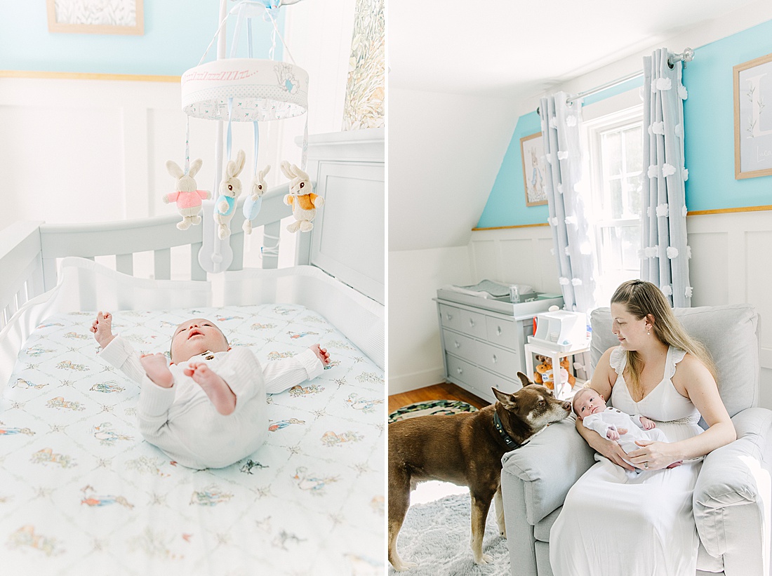 dog sniffs baby as mom sits in rocking chair with baby during in-home newborn photo session with Sara Sniderman Photography in Metro West Boston. 