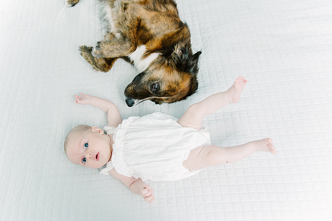 dog and baby lay on bed during in home newborn photo session with Sara Sniderman Photography in Metro West Boston. 