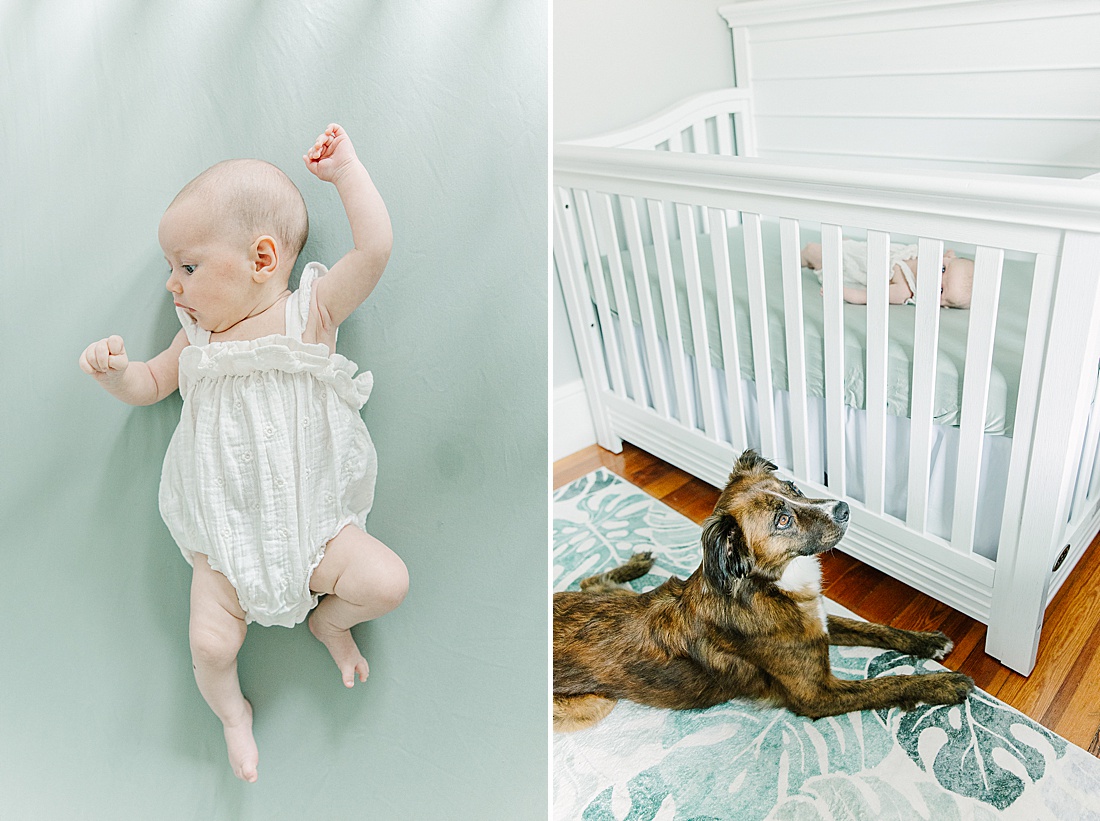 baby lays on bed as dog looks on during in home newborn photo session with Sara Sniderman Photography in Metro West Boston. 