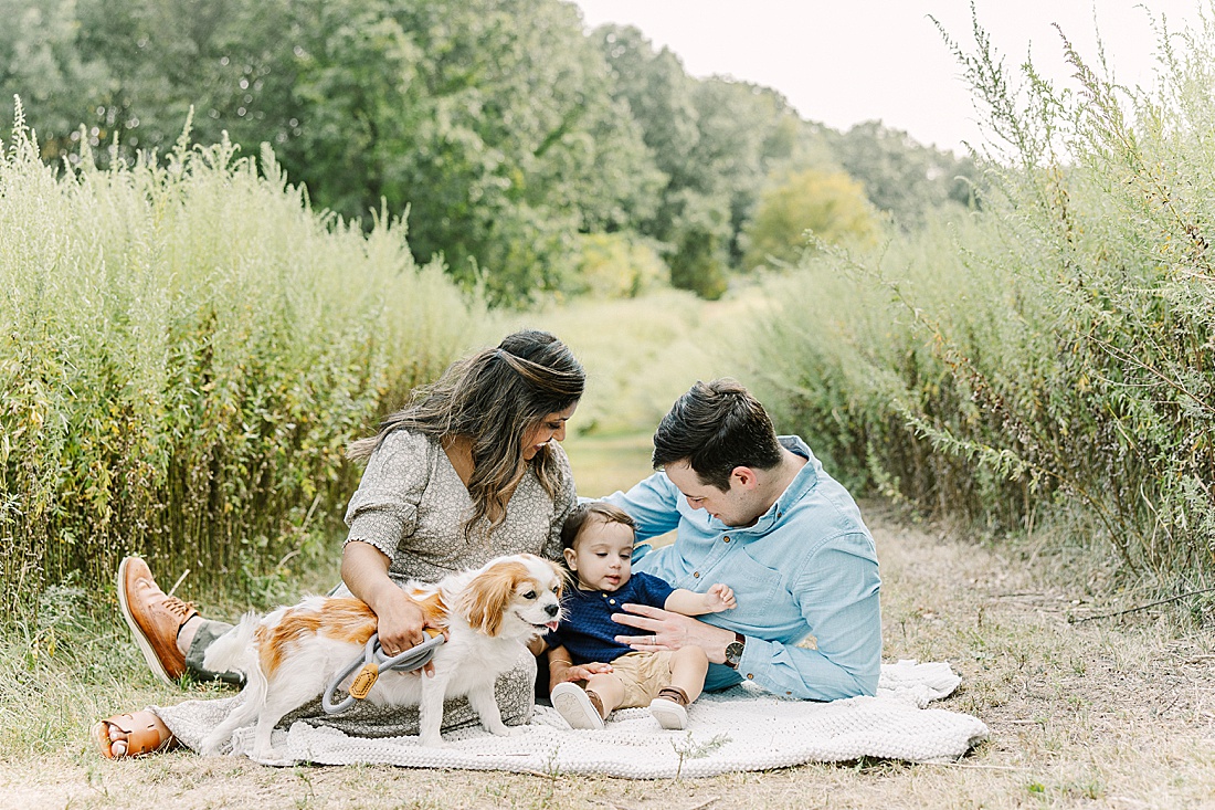family sits on blanket during first birthday photo session with Sara Sniderman Photography in newton massachusetts