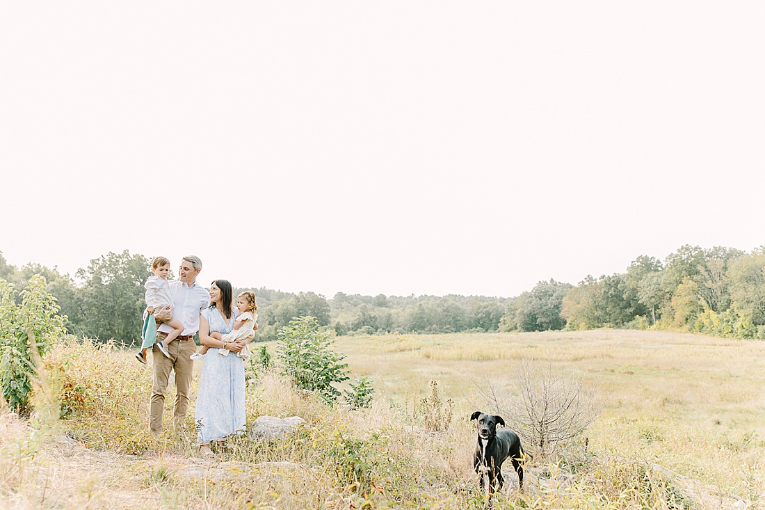 family and dog walk through field during family photo session with Sara Sniderman Photography in Needham Massachusetts