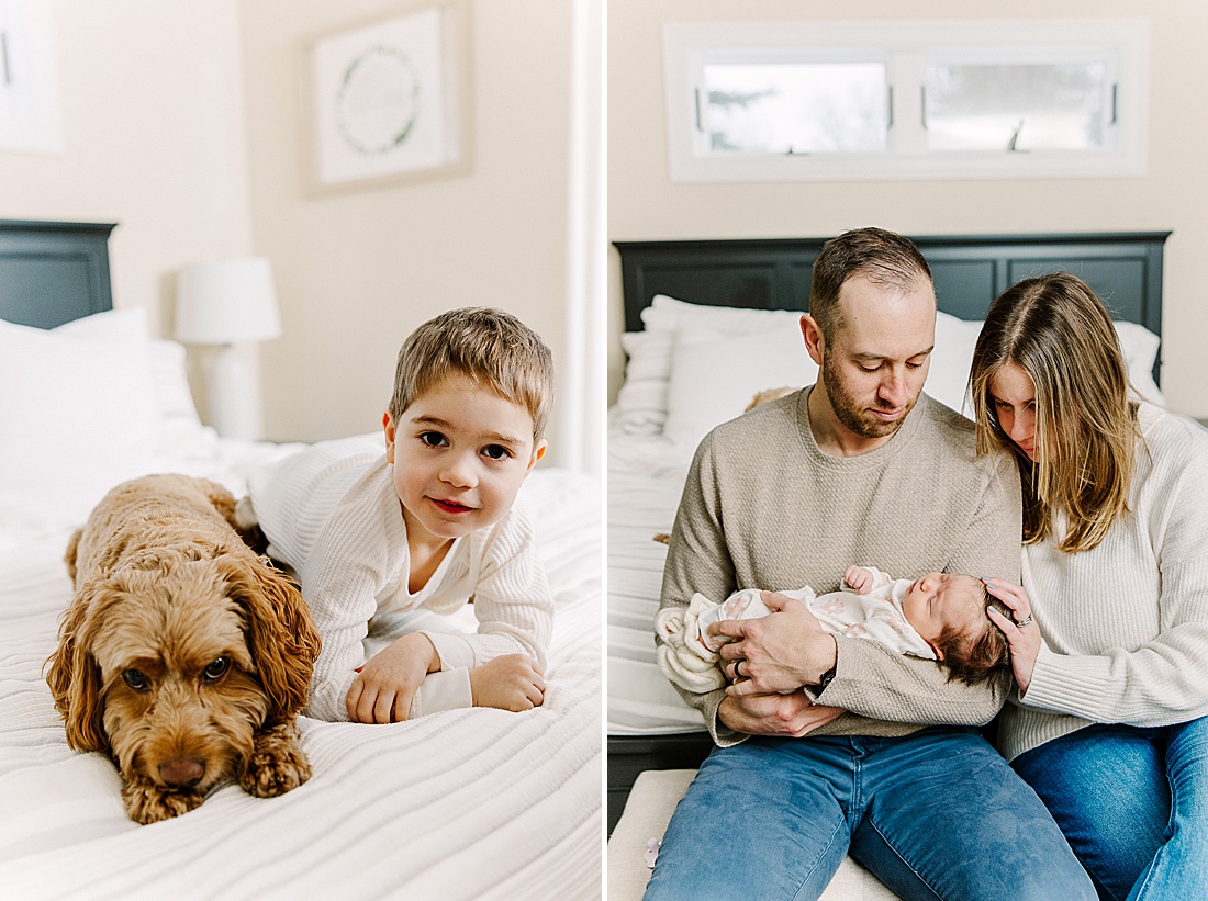toddler and dog sit on bed during in-home newborn photo session with Sara Sniderman Photography in Natick Massachusetts
