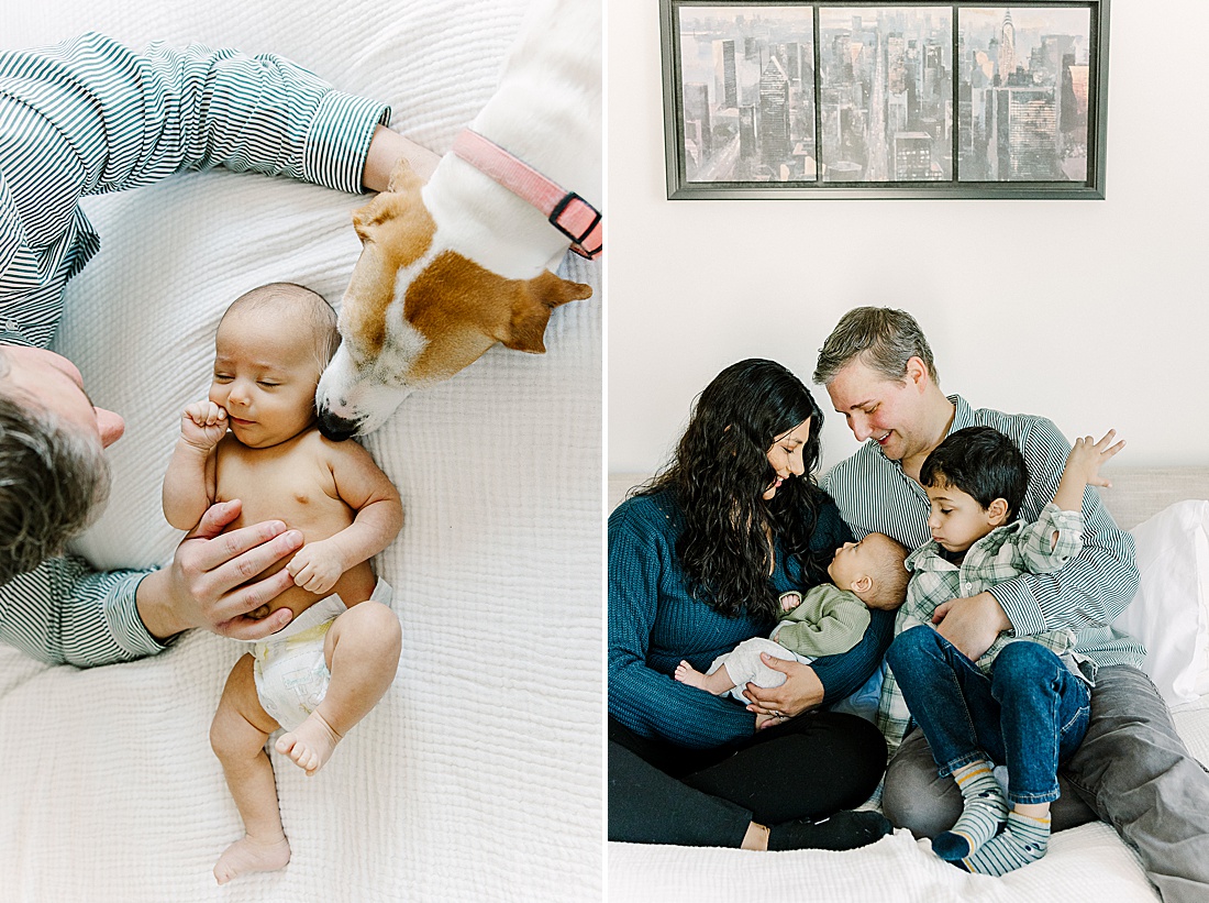 father and dog on bed with baby during in-home newborn photo session with Photographer Sara Sniderman in Metro West Boston. 