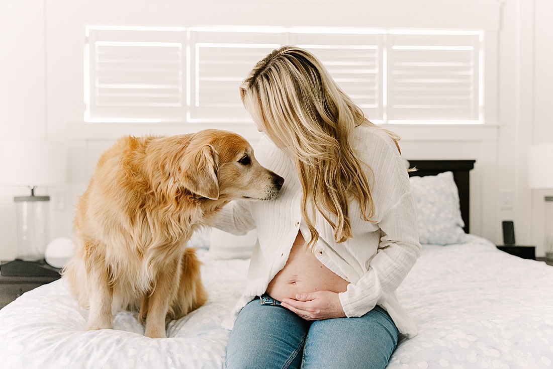 woman sits on bed with golden retriever during in home maternity photo session with Sara Sniderman Photography in Holliston Massachusetts