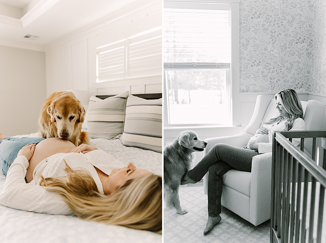 dog licks woman's belly during in home maternity photo session with Sara Sniderman Photography in Holliston Massachusetts